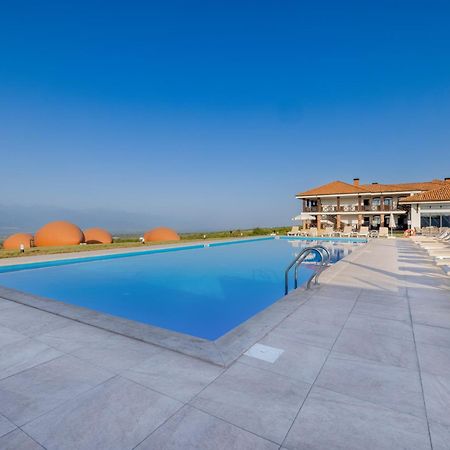 Hotel Qvevrebi Telavi Exterior foto